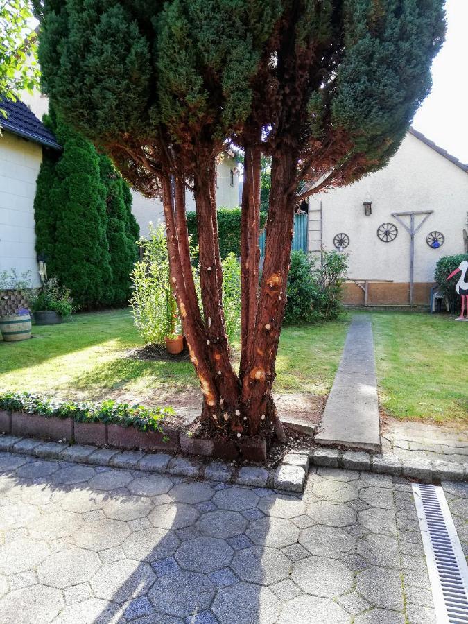 Ferienappartement Obrigheim Mosbach  Esterno foto