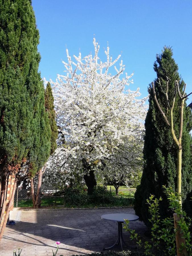 Ferienappartement Obrigheim Mosbach  Esterno foto