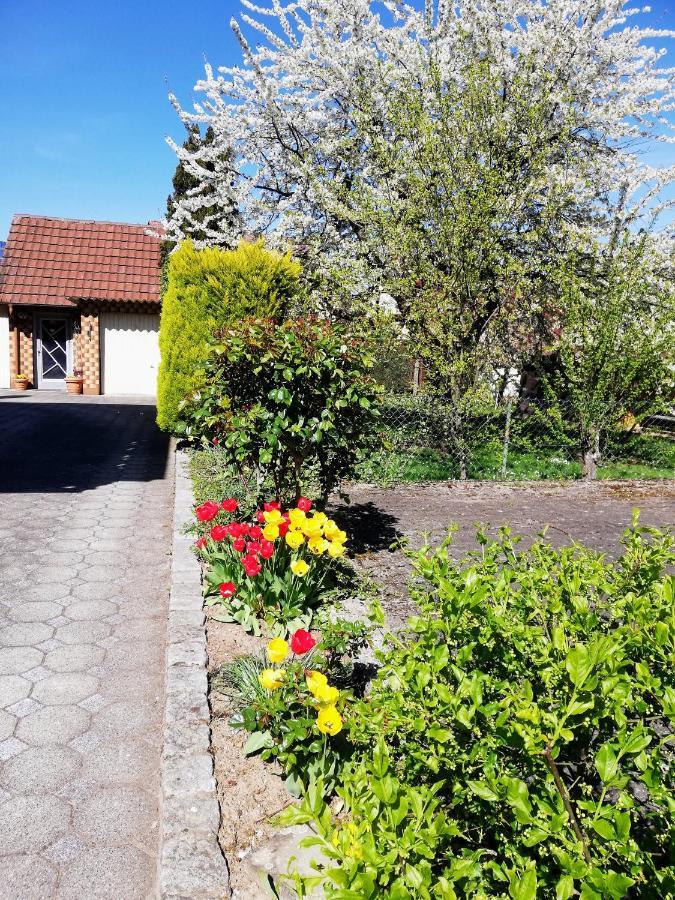 Ferienappartement Obrigheim Mosbach  Esterno foto