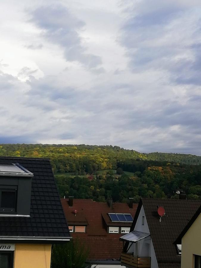 Ferienappartement Obrigheim Mosbach  Esterno foto