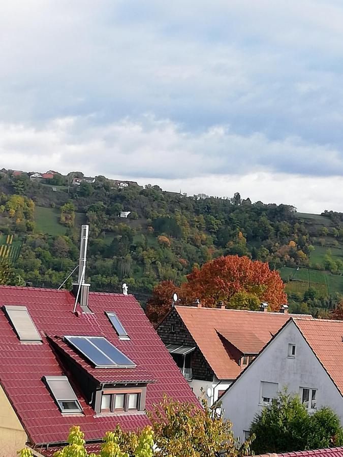 Ferienappartement Obrigheim Mosbach  Esterno foto
