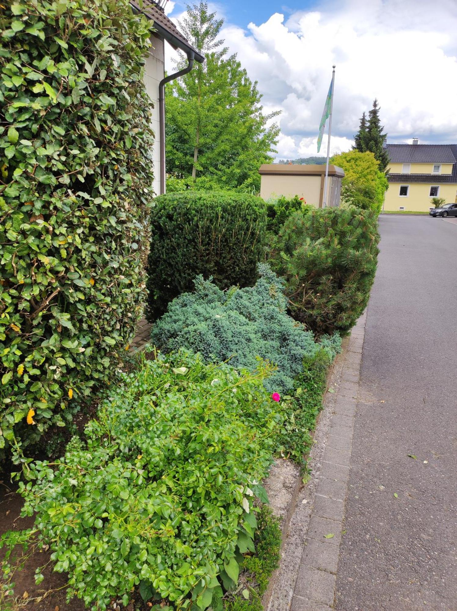 Ferienappartement Obrigheim Mosbach  Esterno foto