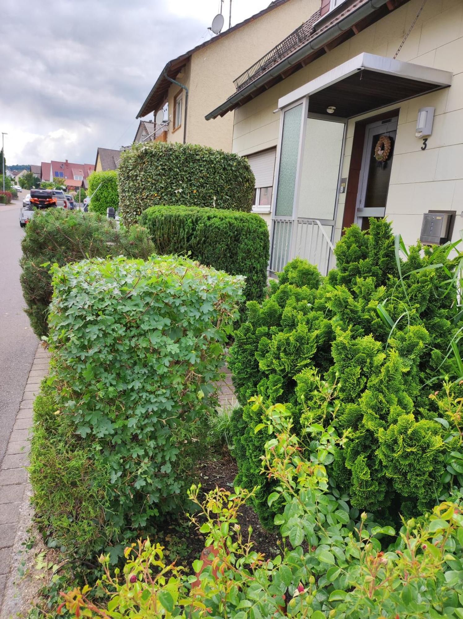 Ferienappartement Obrigheim Mosbach  Esterno foto