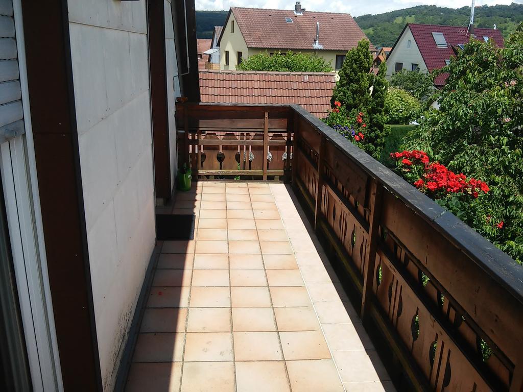 Ferienappartement Obrigheim Mosbach  Esterno foto